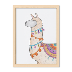 Llama del norte