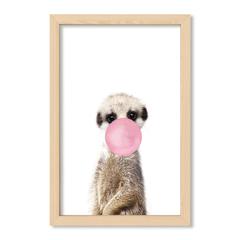 Suricata Bubblegum