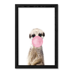 Suricata Bubblegum en internet