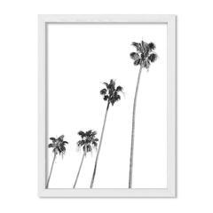 Cuadro Palemeras Blanco y Negro 1 - comprar online