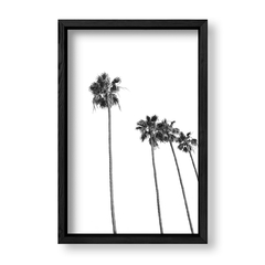 Imagen de Cuadro Palemeras Blanco y Negro 2