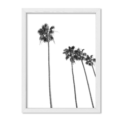 Cuadro Palemeras Blanco y Negro 2 - comprar online