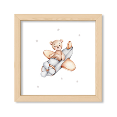 Teddy Bear Avion