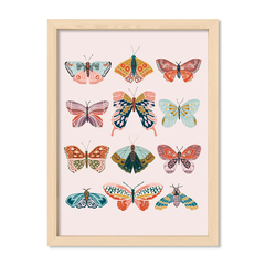 Cuadro Some Butterflies