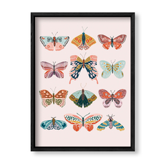 Imagen de Cuadro Some Butterflies