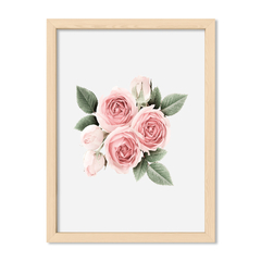 Cute Rosas