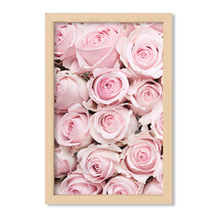 Mundo de Rosas