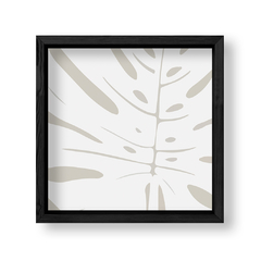 Imagen de Grey Monstera
