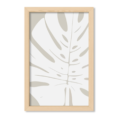 Grey Monstera