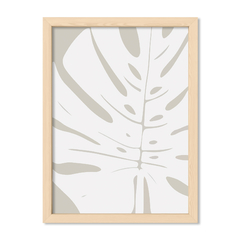 Grey Monstera