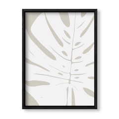 Imagen de Grey Monstera