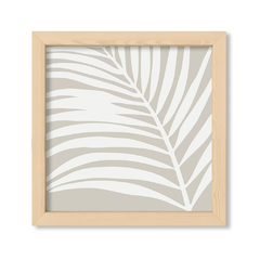 Grey Palm