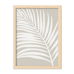 Grey Palm