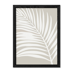 Grey Palm en internet
