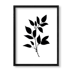 Imagen de Botánicas en Negro 1