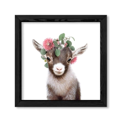 Kid Crown Goat en internet