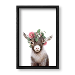 Imagen de Kid Crown Goat