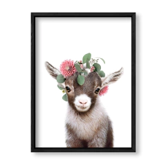 Imagen de Kid Crown Goat