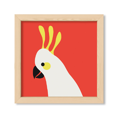 Red Parrot