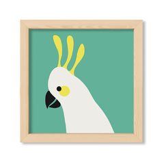 Green Parrot