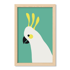 Green Parrot