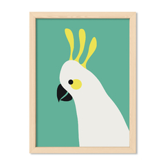 Green Parrot