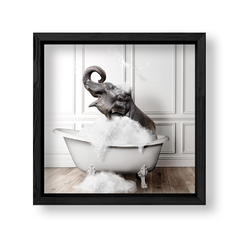 Imagen de Elefante en Ducha