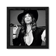 Steven Tyler en internet