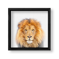 Imagen de Lion Family 1