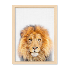 Lion Family 1