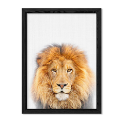 Lion Family 1 en internet