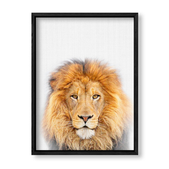 Imagen de Lion Family 1