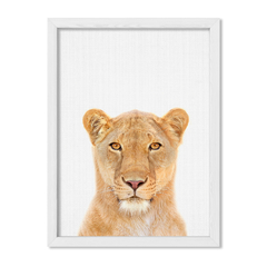 Lion Family 2 - comprar online