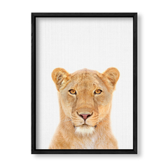 Imagen de Lion Family 2