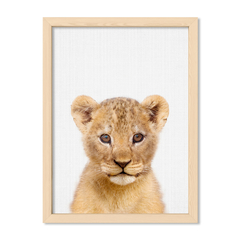 Lion Family 3