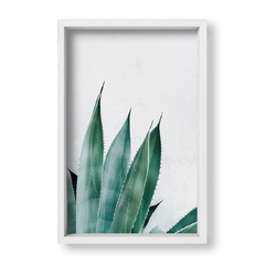 Planta Botánica Patio - tienda online