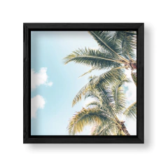 Imagen de Side Palms