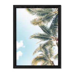 Side Palms en internet