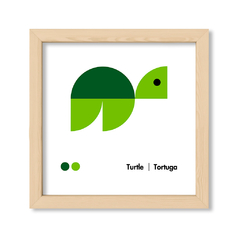 Wild Shapes Tortuga