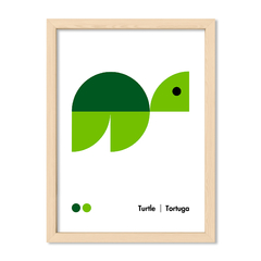 Wild Shapes Tortuga