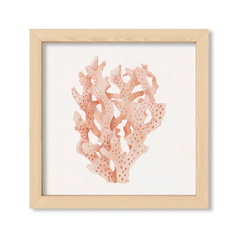 Sea Coral 1