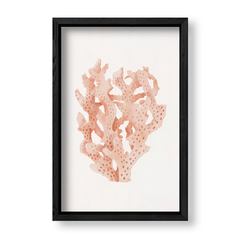Imagen de Sea Coral 1