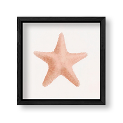 Imagen de Sea Coral 2