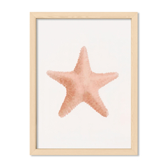 Sea Coral 2