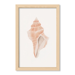 Sea Coral 3