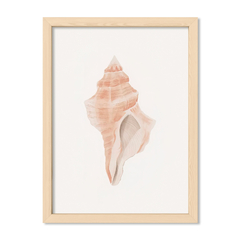 Sea Coral 3