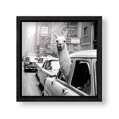 Imagen de Taxi Llama