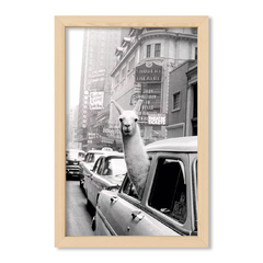 Taxi Llama
