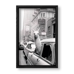 Imagen de Taxi Llama