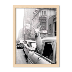 Taxi Llama